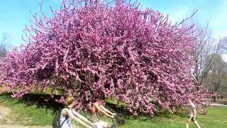 LORD TOPH - "Defining A Moment" (Official Video)