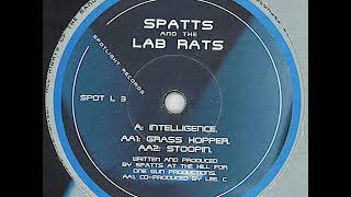 Spatts And  The Lab Rats - Grasshopper