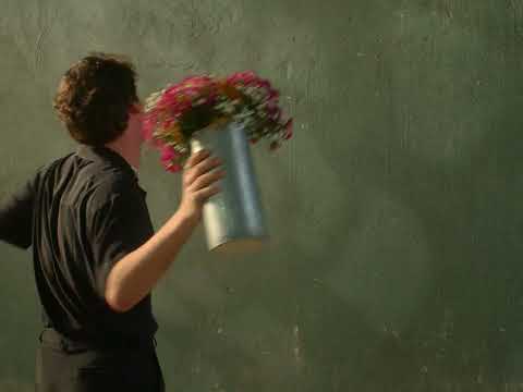 OCASIONALMENTE - Gabriel Froede