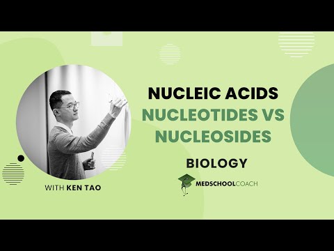 Nucleotides vs. Nucleosides
