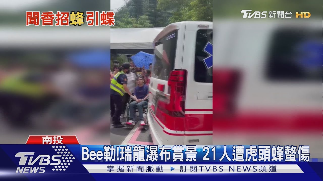 Bee勒！瑞龍瀑布賞景21人　遭虎頭蜂螫傷
