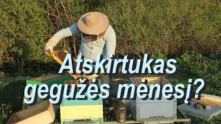 Atskirtukas gegužės mėnesį?