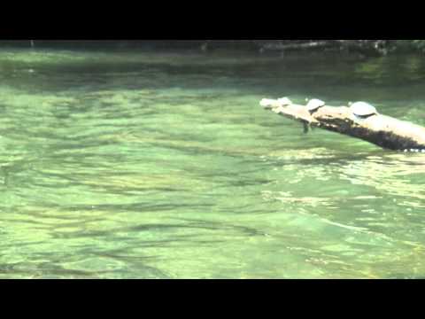 2011-05-08 Saluda Paddle