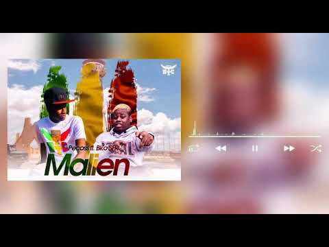PECOSS Feat. BKO-SFR - Malien