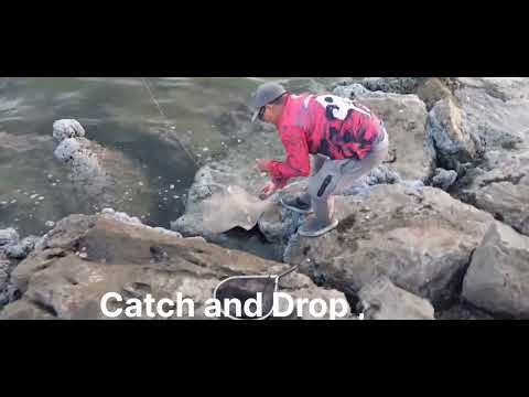 Ajman Fishing Point/ Beach Al Zohra