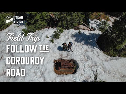 Field Trip: Follow the Corduroy Road