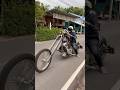 HarleyDavidson 1200cc Custom Custombike Chopper Moto Bike Harleydavidson