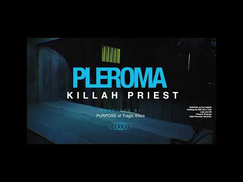Video thumbnail for Pleroma