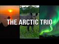 Wild Moose Midnight Sun Aurora This Arctic Tour Was Insane