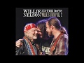 Willie Nelson - Cold, Cold Heart (2017)