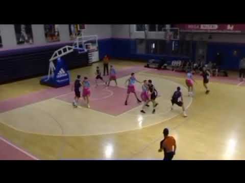 Aleksa Vlajić, HL, KLP, Mega - BKK Radnički