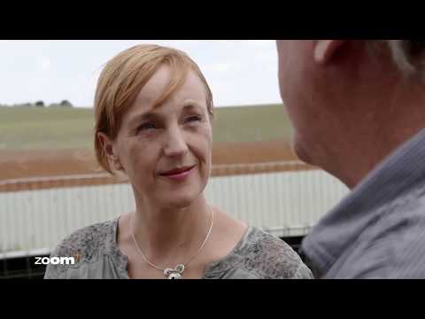 Merino-Boom: Der wahre Preis der Kuschel-Wolle