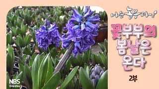 [나는농부다 294회 2부] 꽃부부의 봄날은 온다