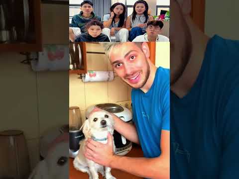 Tom Holland React Viral Videos 💞 #reaction  #tomholland  #funny  #trending