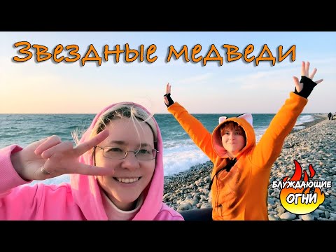 Звёздные медведи (клип)