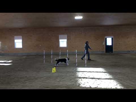 Libby Walter Elite Weavers Run 1