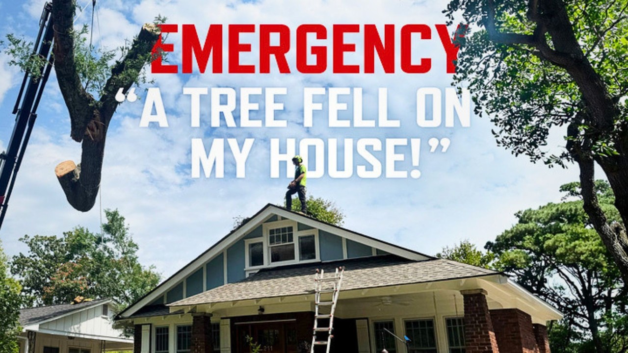 A Tree Fell on My House! | Emergency Tree Removal with Greenville Tree Co
