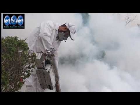 Regarder la Vidéo graphique de : Belakhdim S.B.S