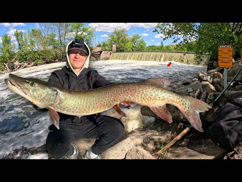 3 Days Fishing Spillways for GIANT MUSKIES! (Car Camping & Cooking)