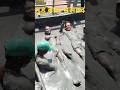 mud bath massage at El Totuma mud volcano #viralvideo #youtubeshorts #shortsfeed