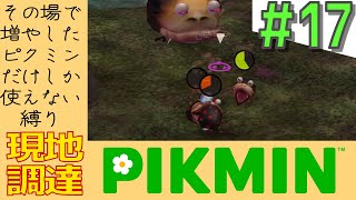 その日増やしたピクミンしか使えない縛り【現地調達ピクミン】#17