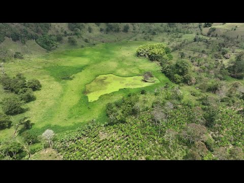 Lío limítrofe entre Tarso y Jericó - Teleantioquia Noticias