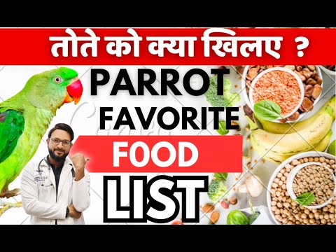 Tote Ko Kya Khilana Chahiye ||  Parrot Food List || तोते को क्या खिलाए की वो कभी बीमार ना हो ?