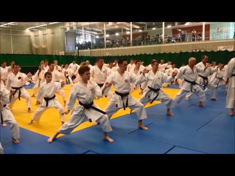 Ryu Shotokan Karate - Luca Valdesi Kata Course - Unsu