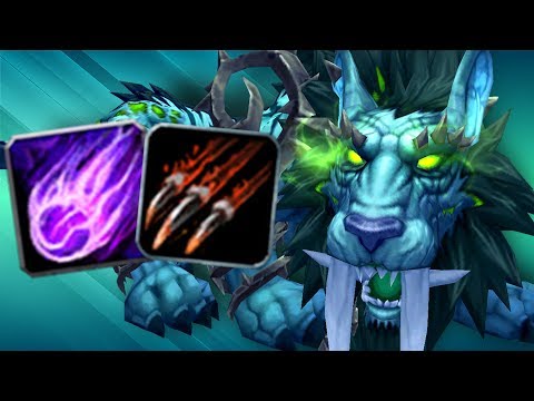 Feral In PVE Gear Is STRONG! (5v5 1v1 Duels) - PvP WoW: Battle For Azeroth 8.2