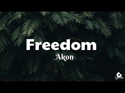 Akon - Freedom (lyrics video)