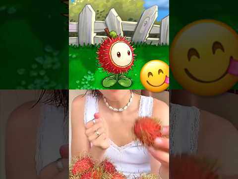 The Rambutan w/ @anna.antonje  (PVZ) #pvz #plantsvszombies