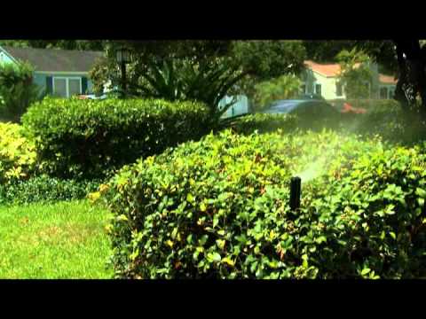 Maintaining Your Sprinkler System