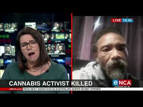 Cannabis activist killed