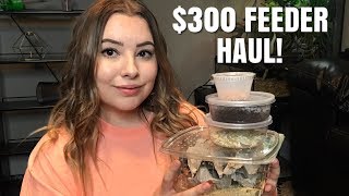 $300 FEEDER HAUL! | Feeder Unboxing by Emma Lynne Sampson