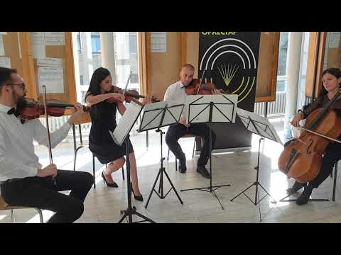 Alius String Quartet Live Performance