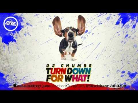 DNZF196 // DJ CHUMBE - TURN DOWN FOR WHAT (Official Video DNZ RECORDS)