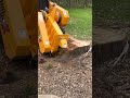 How Stump Grinding Keeps Unwanted Trees from Growing Back