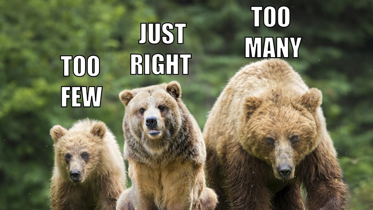 Which indexes do you REALLY need?