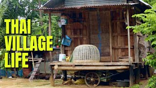 VILLAGE LIFE IN THAILAND, what its like in a small Issan villageชีวิตในหมู่บ้านพิมายประเทศไทย