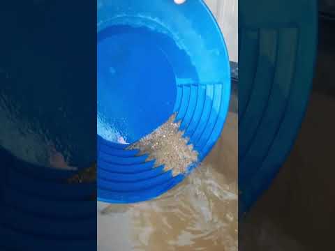 Gold panning for beginners