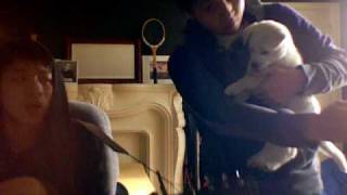 I&#39;ve Got Your Number-Passion Pit (special edition ft. that asshole Lander)