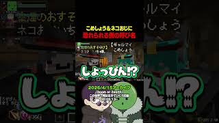【#DoZ】かたや〇〇ち、かたや〇〇〇〇ん　#まじヤバ #まじヤバショート【米将軍/ネコおじ/ゾム】