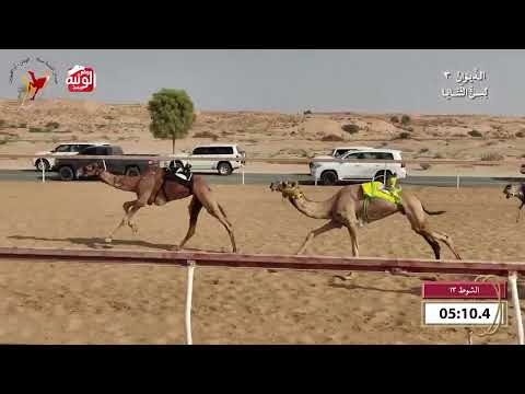  ش 13 (سراب) لـ عبدالله نايع الشاوي الغفلي 9:54 , شارة الديوان 3 2026/10/07 ثنايا اللبسه    