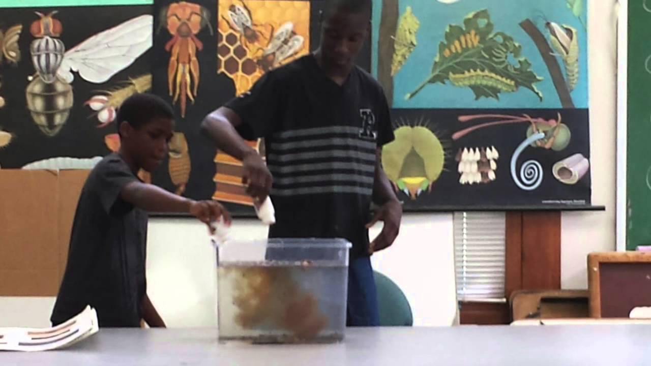 Camp Life Day Camp 2015