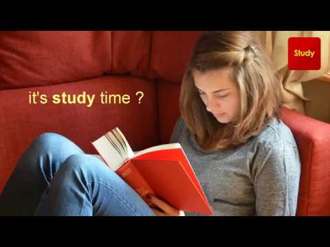 Multiple Choice Questions Video