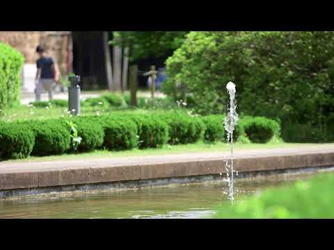 一橋大学（国立市）の景色『初夏』Hitotsubashi in Summer