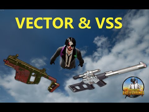 PUBG: Vector & VSS is a nasty combo!