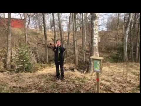 Klockhammar SF Invigning av Skogalundsleden 8 april 2017. Kort version.