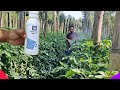 Yara Vita Bortrac Boron Praveen Thakur