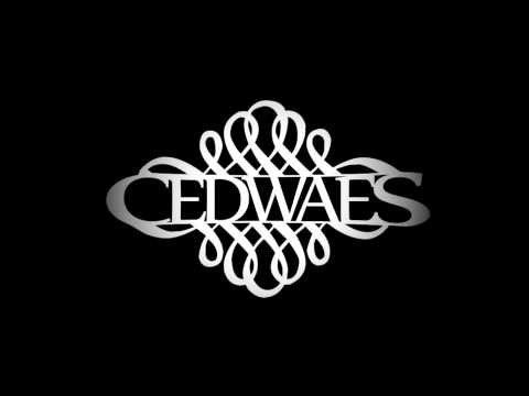 CEDWAES ŁNŁ - Tak To Wyglada